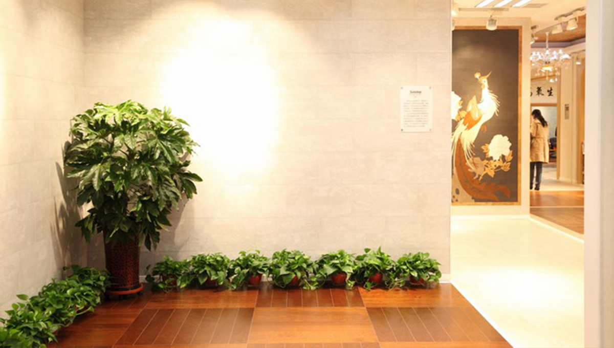 创新发展,永不止步 4 创新发展,永不止步 4