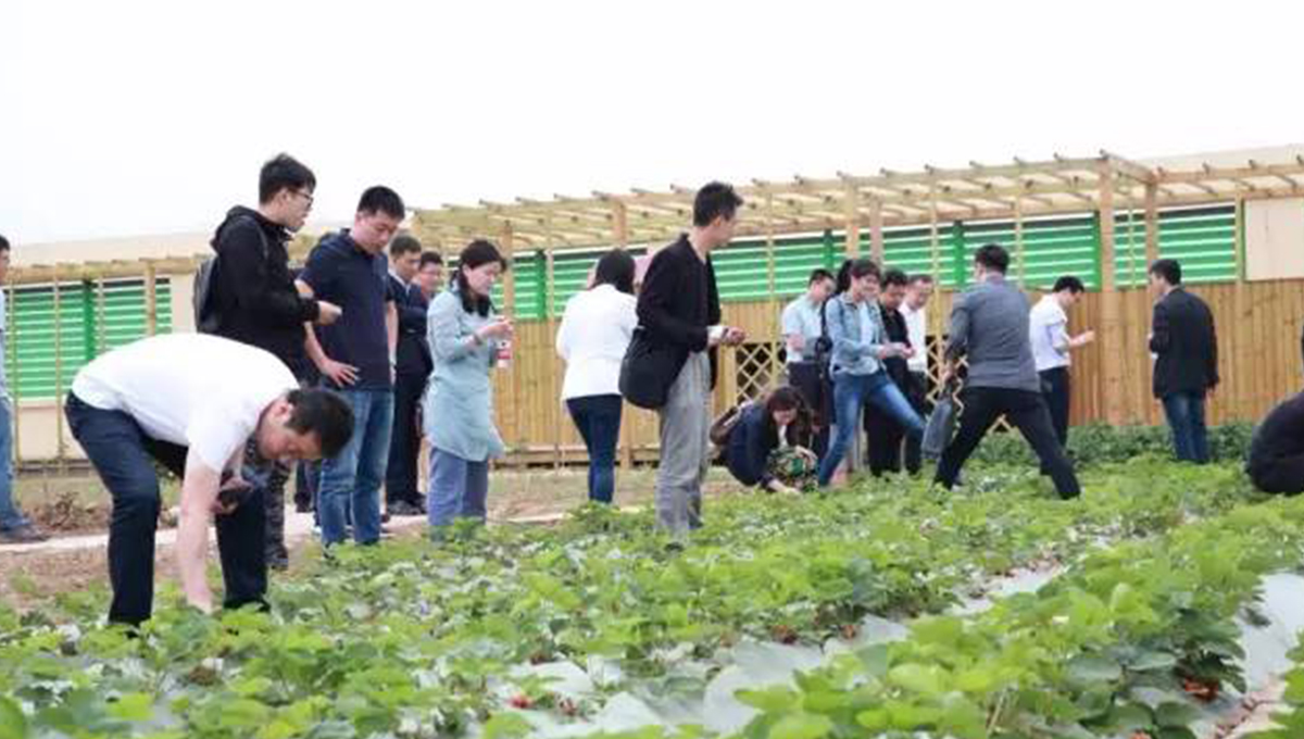 “2017年第五季室内设计-中国行”青岛站 | 惊“天”动地,“锋”起云涌 7 “2017年第五季室内设计-中国行”青岛站 | 惊“天”动地,“锋”起云涌 7