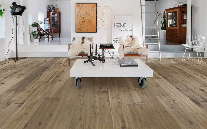 宅男视频下载进口地板，释放双足回归自然 图片6