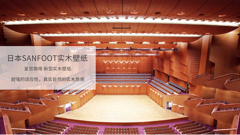 宅男视频下载墙面材料，改观家的每一面 图片2