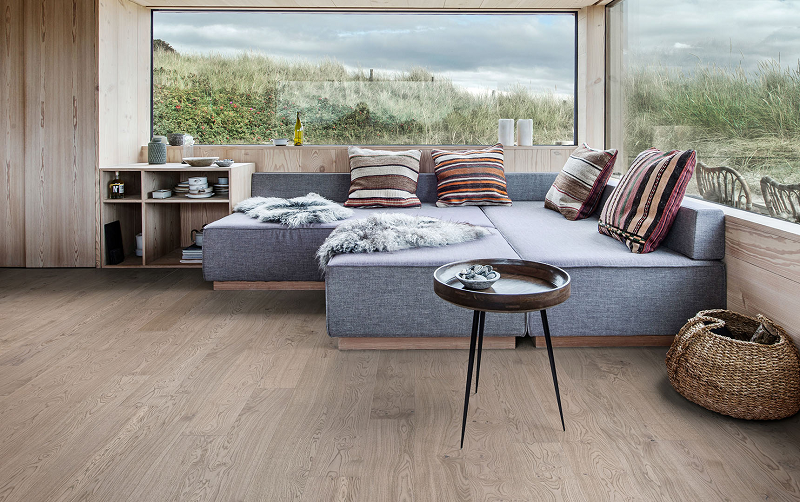 宅男视频下载进口地板，释放双足回归自然 图片7