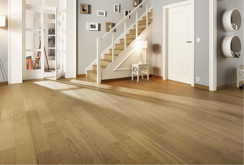 后疫情时代，宅男视频下载健康家居“面面俱到”守护理想家 图片2