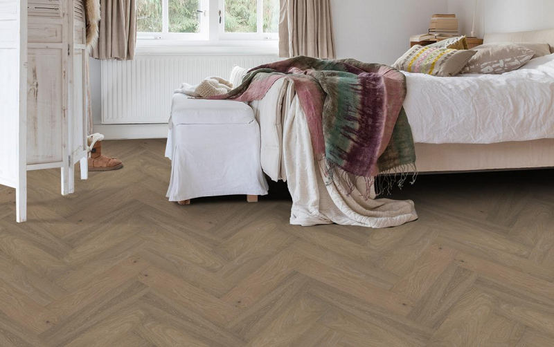 逐梦骑迹，宅男视频下载助梦 图片4