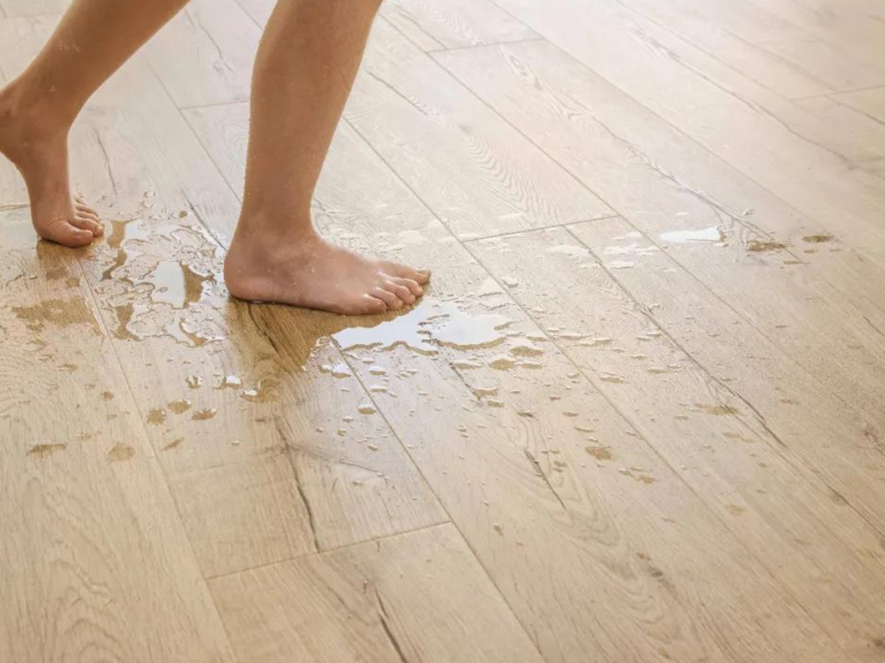 宅男视频下载Quick-Step进口地板，革新之变，全新享受 图片19