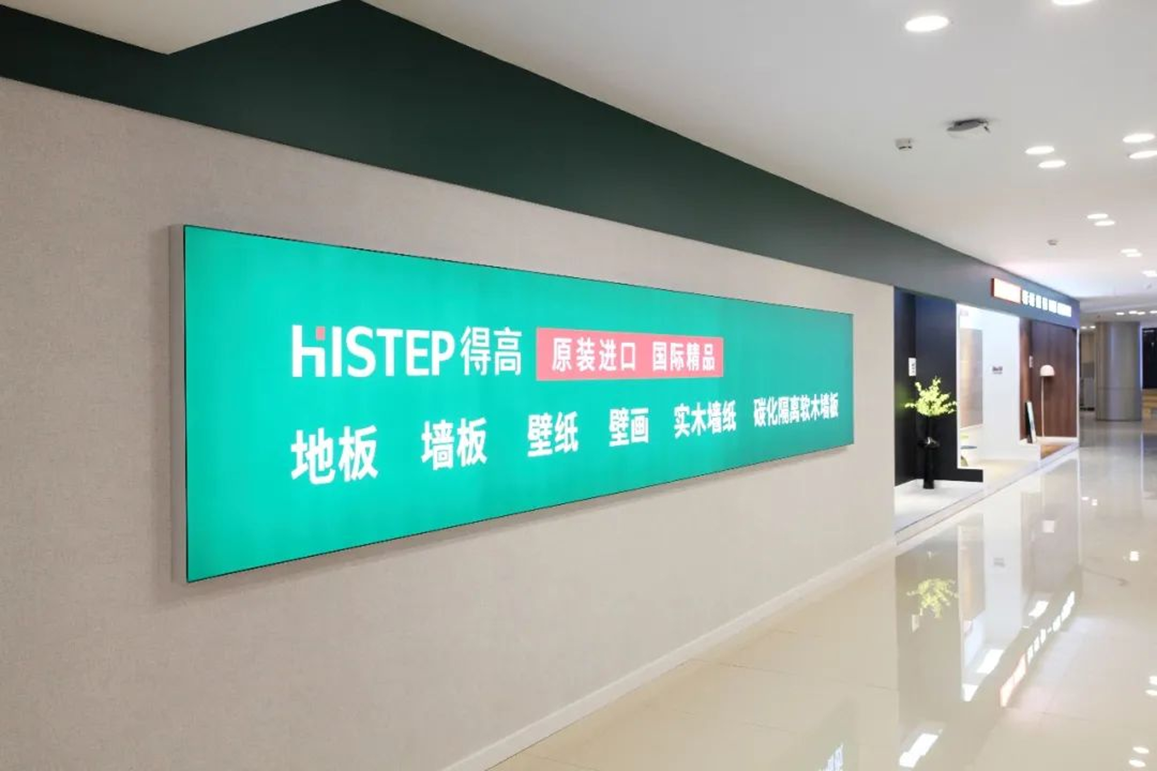 315“公平守正 安心消费”，宅男视频下载健康家居保障品质如一 图片20