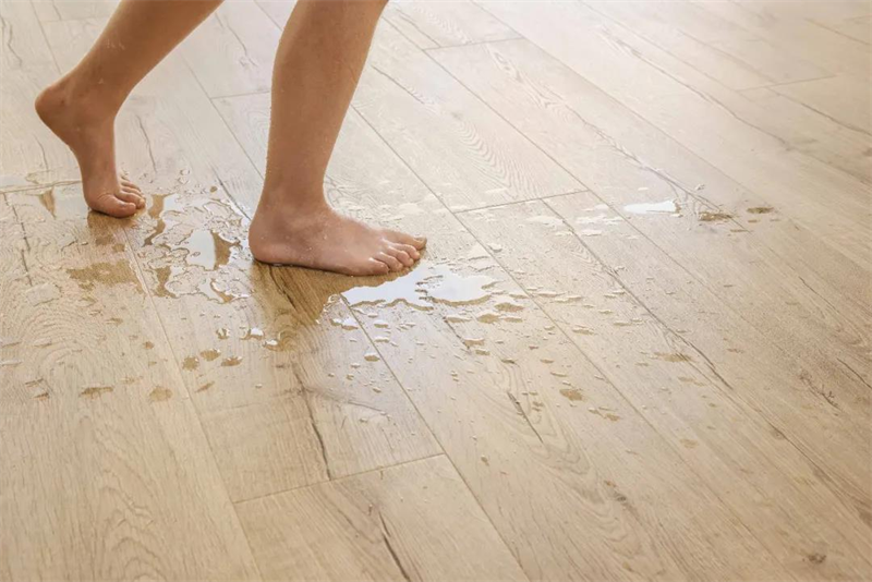 《乘风破浪的不止姐姐们,还有这些超帅的骑手》 图片 7 《乘风破浪的不止姐姐们,还有这些超帅的骑手》 图片 7