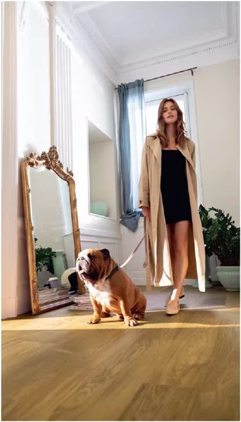 “宠物友好型”地板,宅男视频下载Quick-Step无惧生活考验 图片 8 “宠物友好型”地板,宅男视频下载Quick-Step无惧生活考验 图片 8