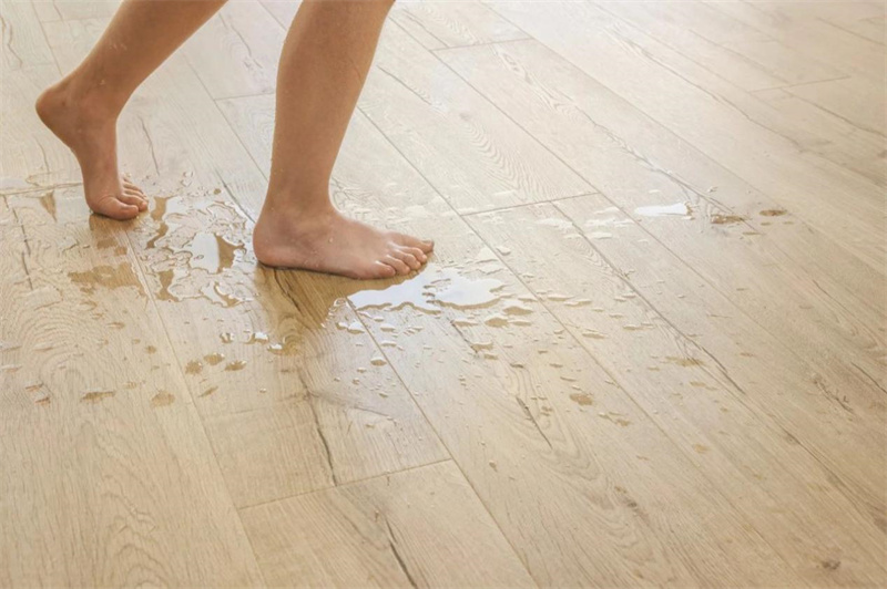 地板还要“防晒”“抗衰”?宅男视频下载Quick-Step驻颜有术! image4 地板还要“防晒”“抗衰”?宅男视频下载Quick-Step驻颜有术! image4