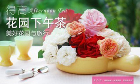 宅男视频下载花园下午茶，聆听"美好花园与旅行"
